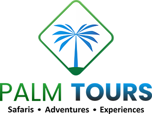 palm-tours
